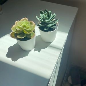 Fake Succulent Pair